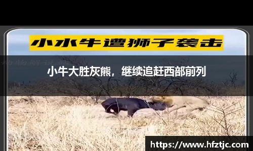 小牛大胜灰熊，继续追赶西部前列