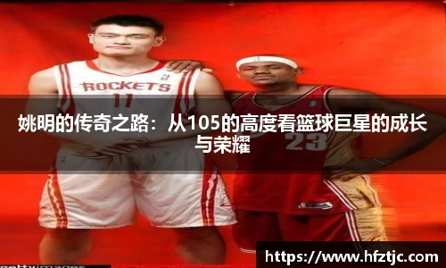 姚明的传奇之路：从105的高度看篮球巨星的成长与荣耀